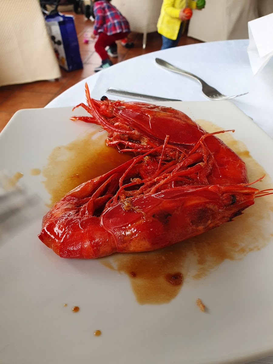 Ristorante L'aragosta-9